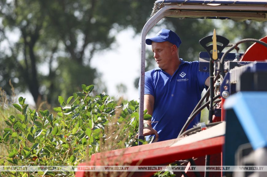 Механизатор Юрий Сакович Механизатор Юрий Сакович