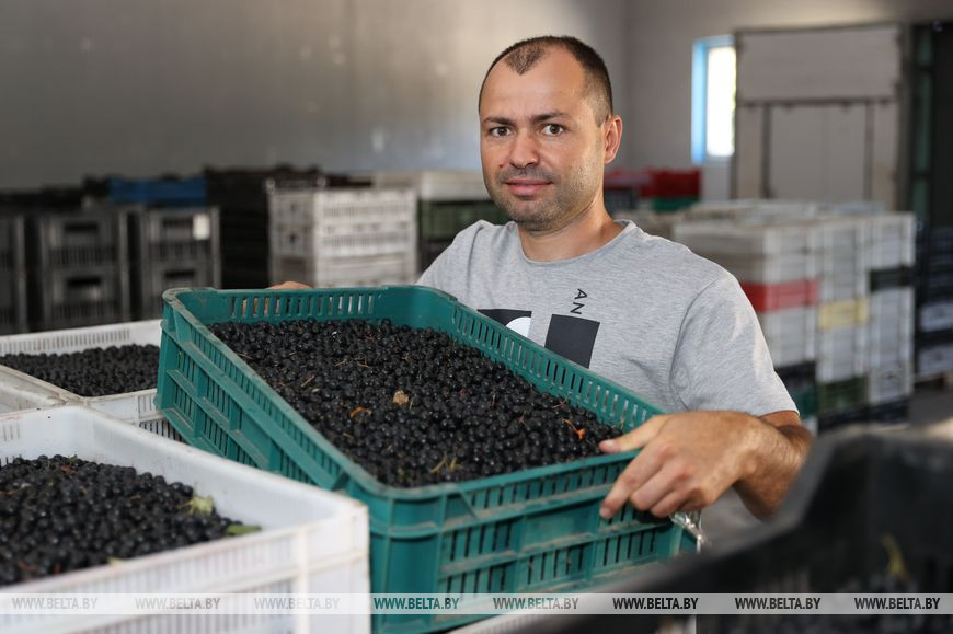 Начальник цеха садоводства Сергей Ралко Начальник цеха садоводства Сергей Ралко