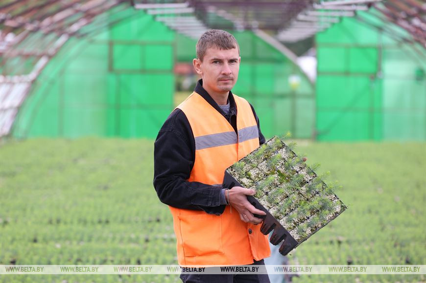 Мастер лесного питомника Роман Лещик Мастер лесного питомника Роман Лещик