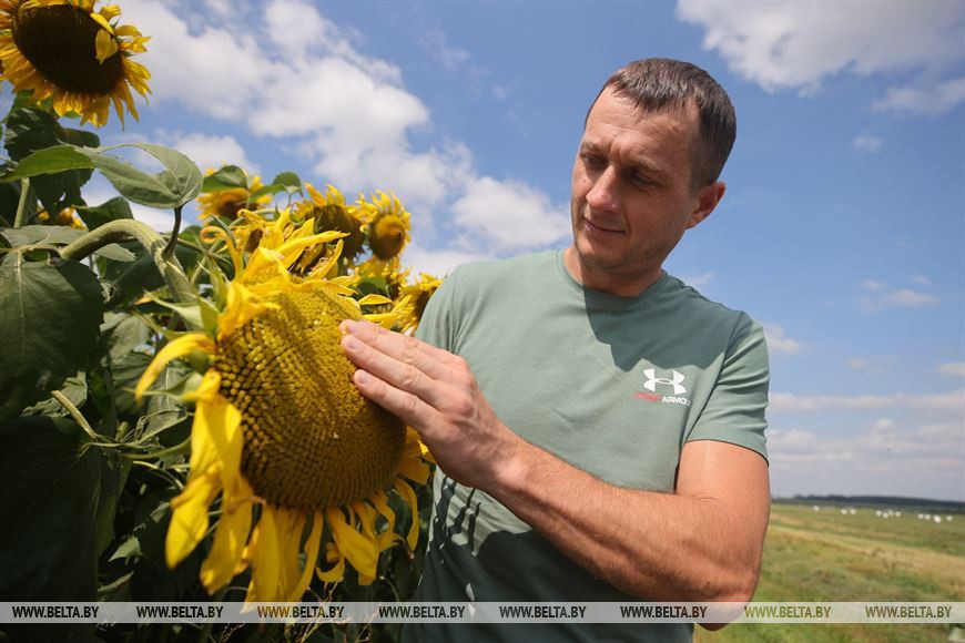 Виктор Гончарук Виктор Гончарук