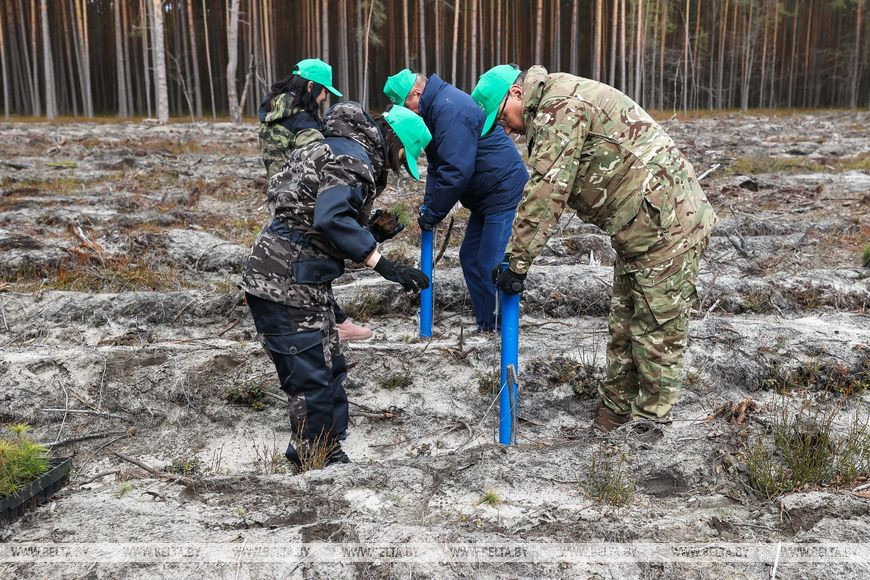 Заместитель председателя Брестского облисполкома Геннадий Борисюк и Первый заместитель председателя Брестского облисполкома Валентин Зайчук принимают участие в акции "Неделя леса" Заместитель председателя Брестского облисполкома Геннадий Борисюк и Первый заместитель председателя Брестского облисполкома Валентин Зайчук принимают участие в акции "Неделя леса"