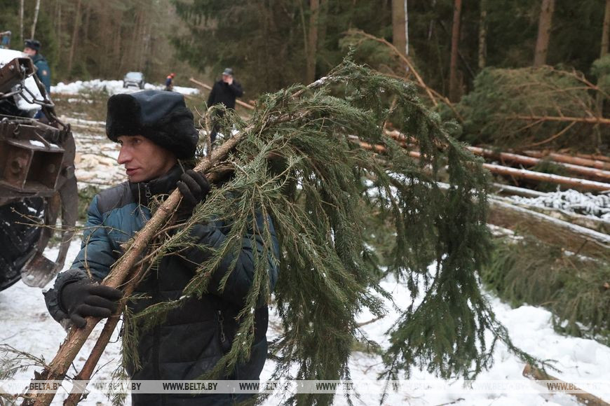 Житель деревни Заболотье Александр Копытов Житель деревни Заболотье Александр Копытов