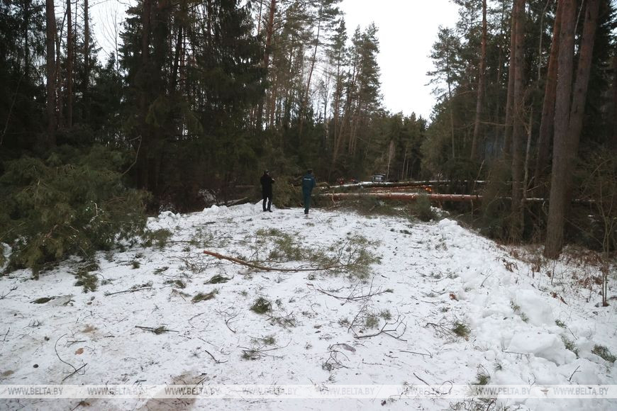 Расчистка дороги к деревне Репище Расчистка дороги к деревне Репище