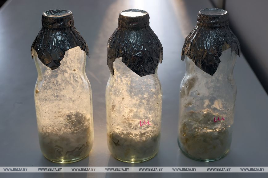 Образцы опытных биологических препаратов будущей вакцины