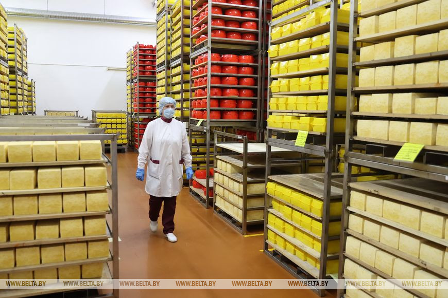 Камера дозревания сыров Камера дозревания сыров