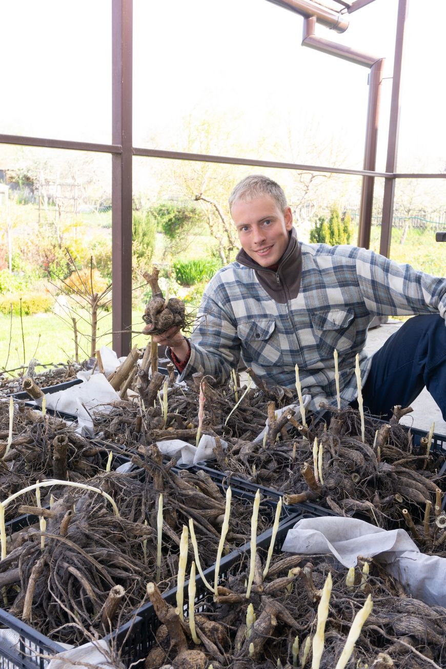 Кирилл Кветка