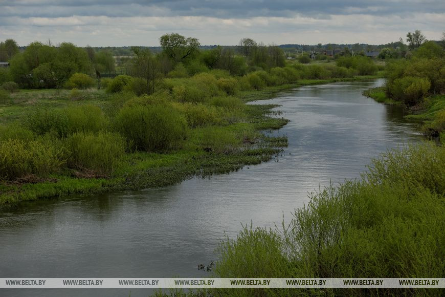 Река Западная Березина Река Западная Березина