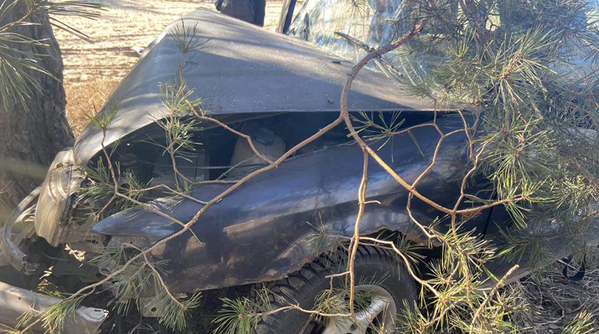 Фото ГАИ УВД Гомельского облисполкома Фото ГАИ УВД Гомельского облисполкома