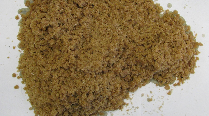 Фото Следственного комитета Фото Следственного комитета