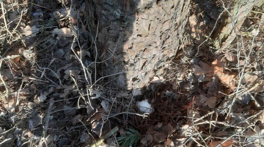 Фото УВД Гродненского облисполкома Фото УВД Гродненского облисполкома