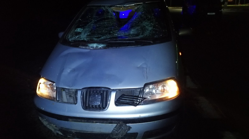 Фото УГАИ УВД Гомельского облисполкома Фото УГАИ УВД Гомельского облисполкома