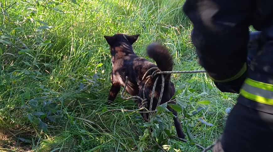 Фото Гомельского областного УМЧС