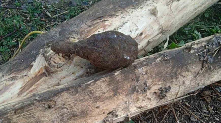 Фото УВД Бресткого облисполкома