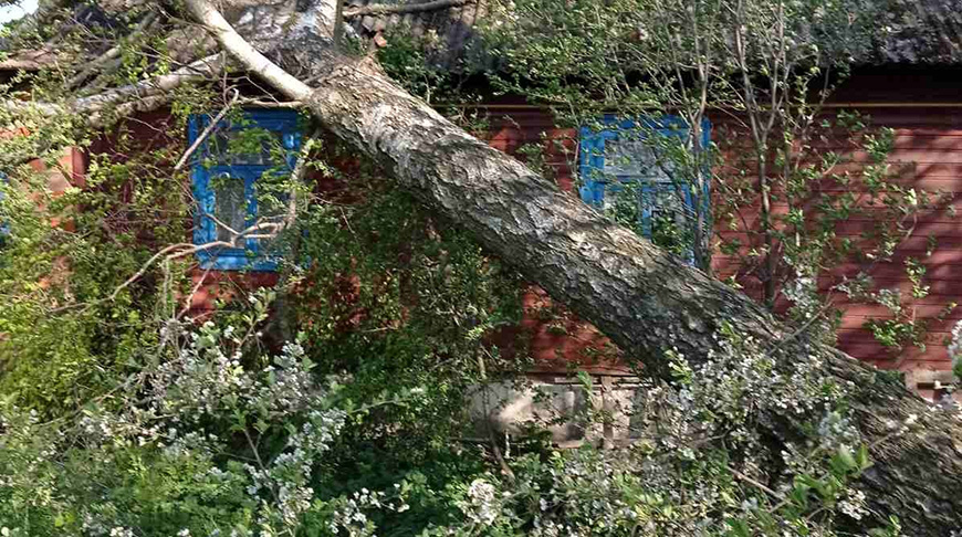 Фото Брестского областного УМЧС