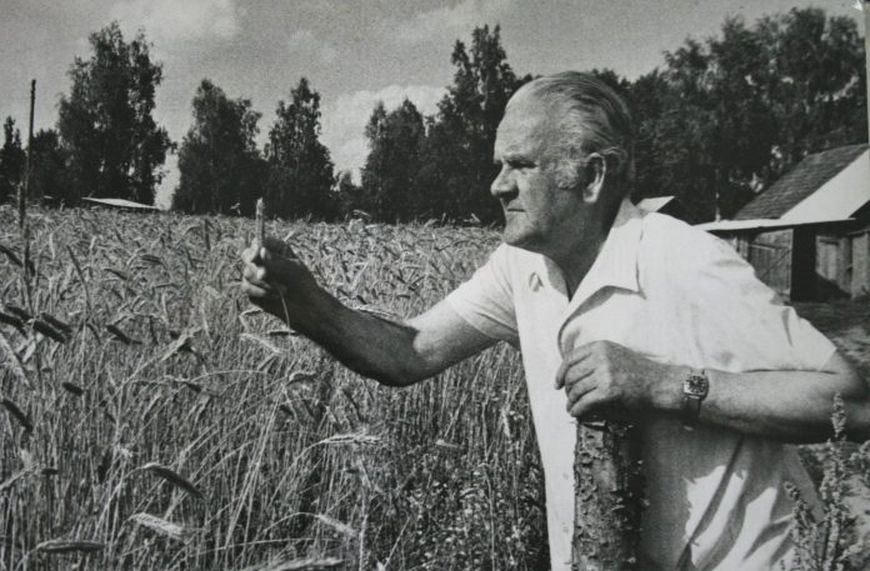 Возле родной деревни Загорье. Фото narbel.bsu.by