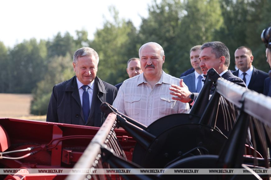 Александр Лукашенко во время посещения хозяйства "Острошицы", август 2021 года