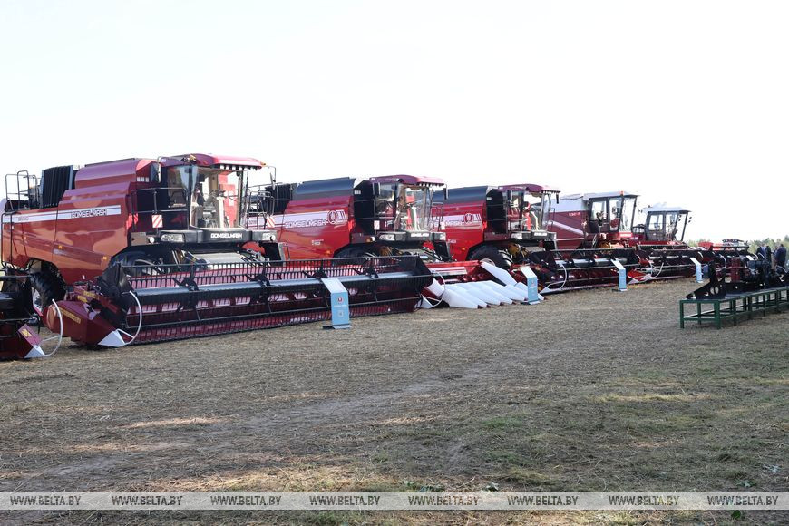 В хозяйстве "Острошицы", август 2021 года