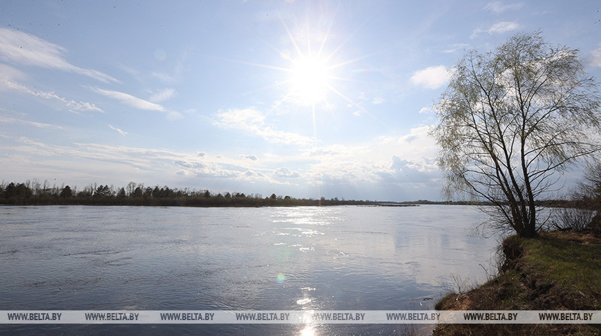 Полесский радиационно-экологический заповедник. Фото из архива