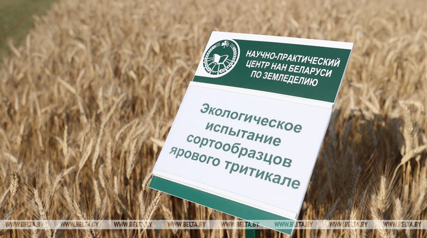 Фото из архива Фото из архива