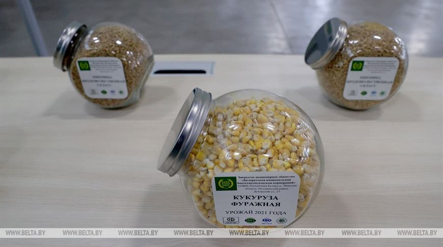 Фото из архива Фото из архива