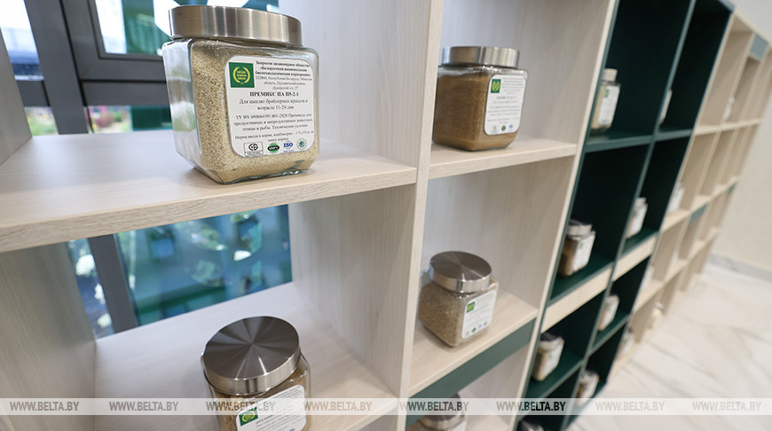 Фото из архива Фото из архива