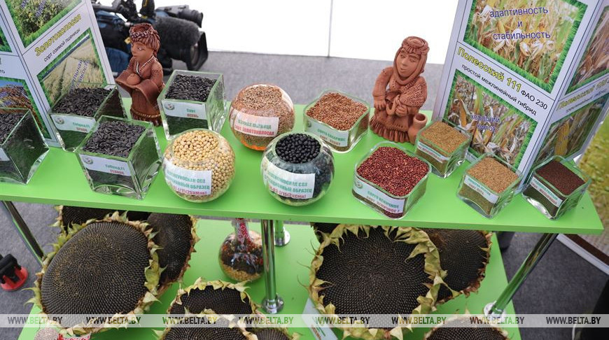 Фото из архива Фото из архива