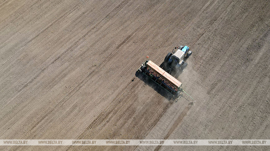 Фото из архива Фото из архива