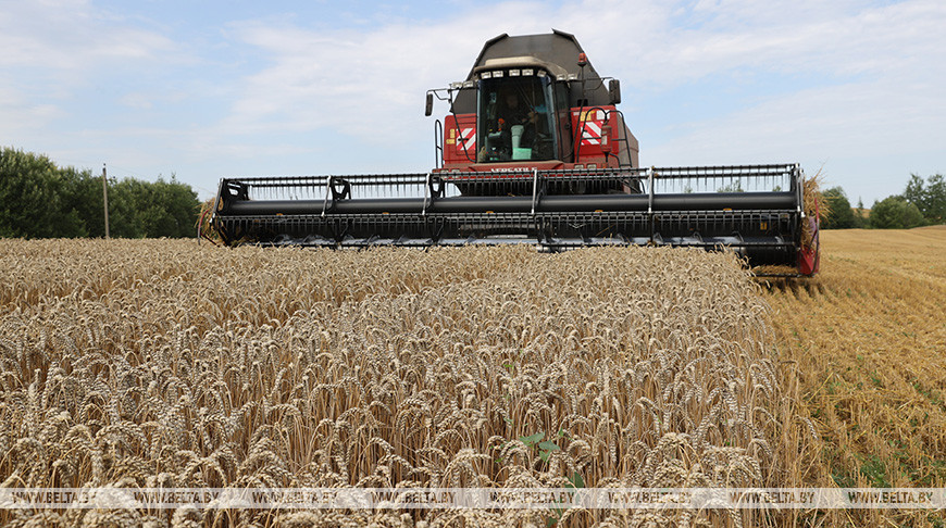 Фото из архива Фото из архива