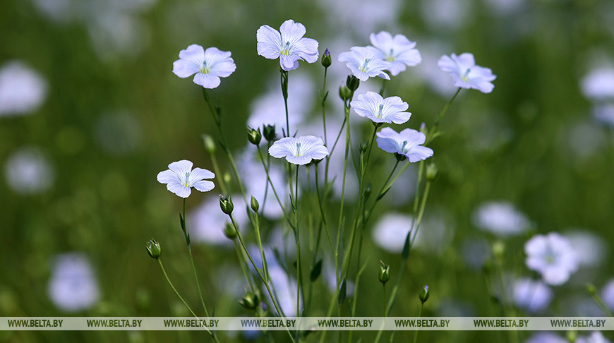 Фото из архива