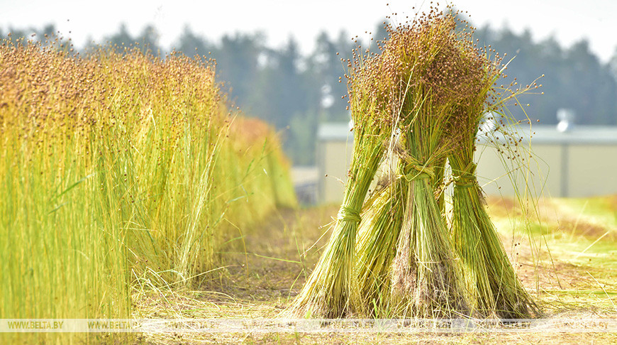 Фото из архива