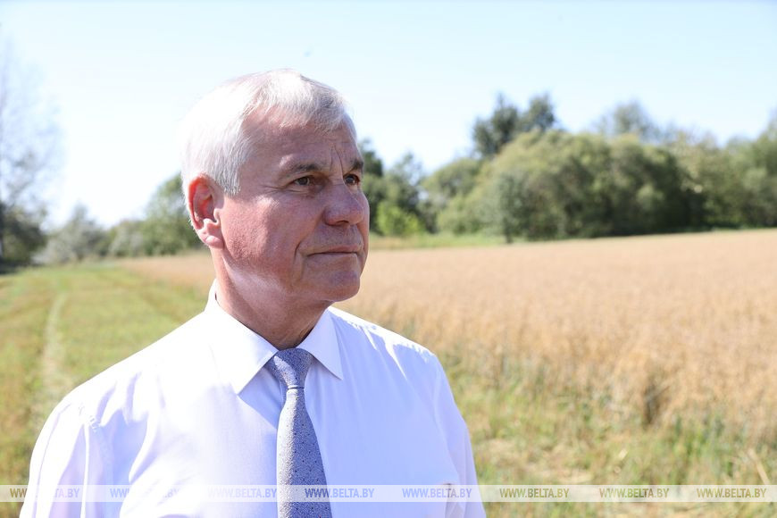 Владимир Андрейченко