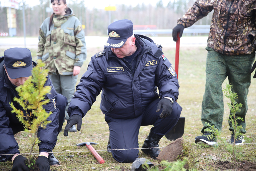 Фото СК Фото СК