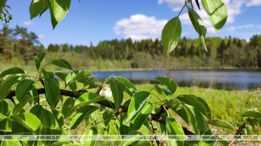 Фото из архива Фото из архива