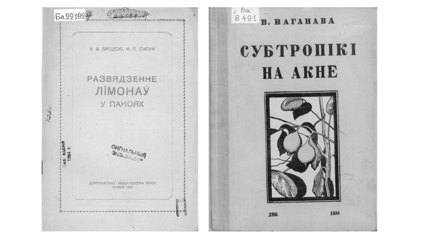 Фото из личного архива героя Фото из личного архива героя