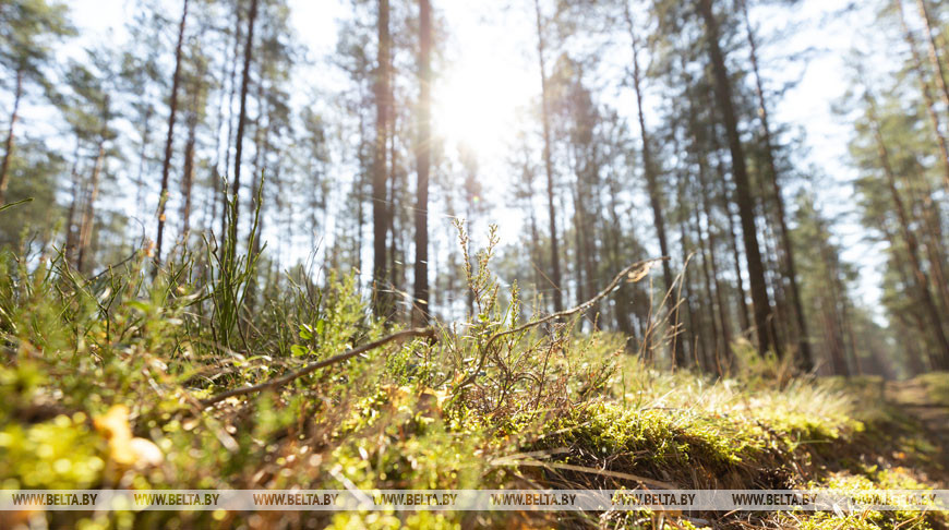 Фото из архива Фото из архива