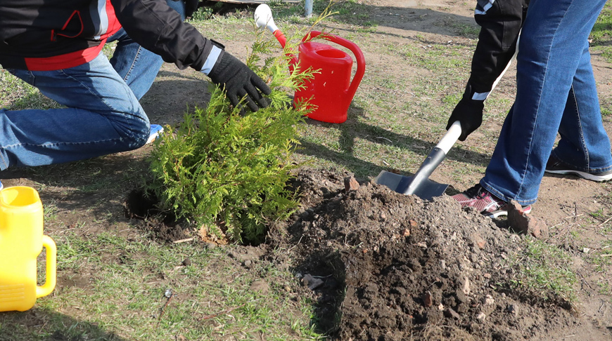 Фото из архива Фото из архива