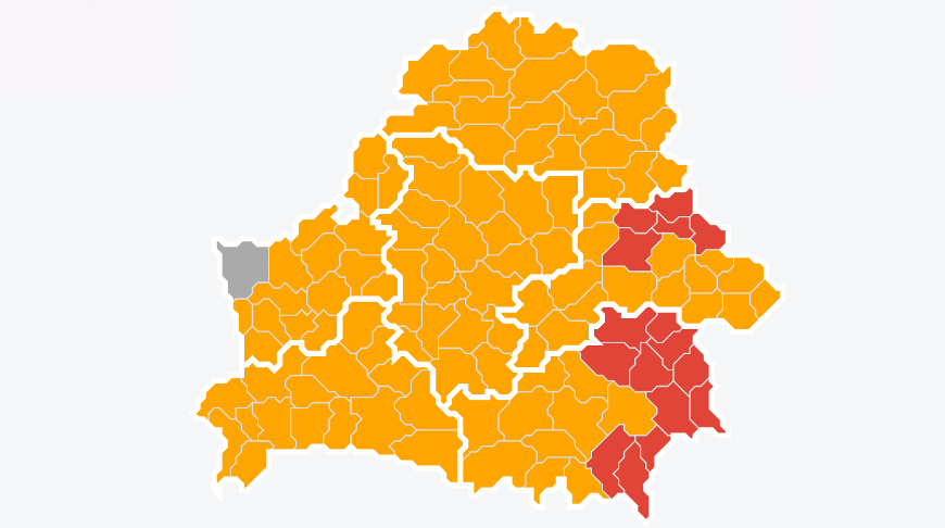 Фото mlh.by Фото mlh.by