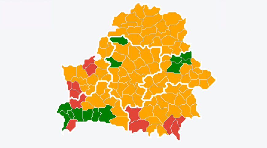 Фото mlh.by Фото mlh.by