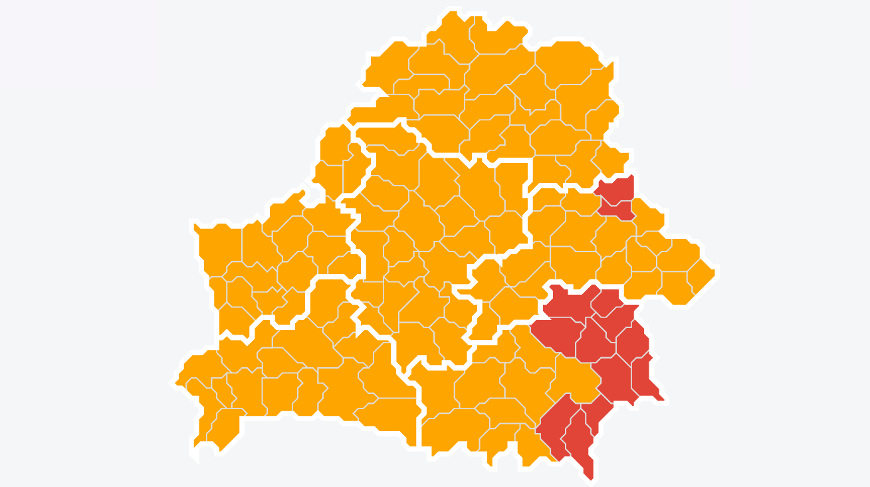 Фото mlh.by Фото mlh.by
