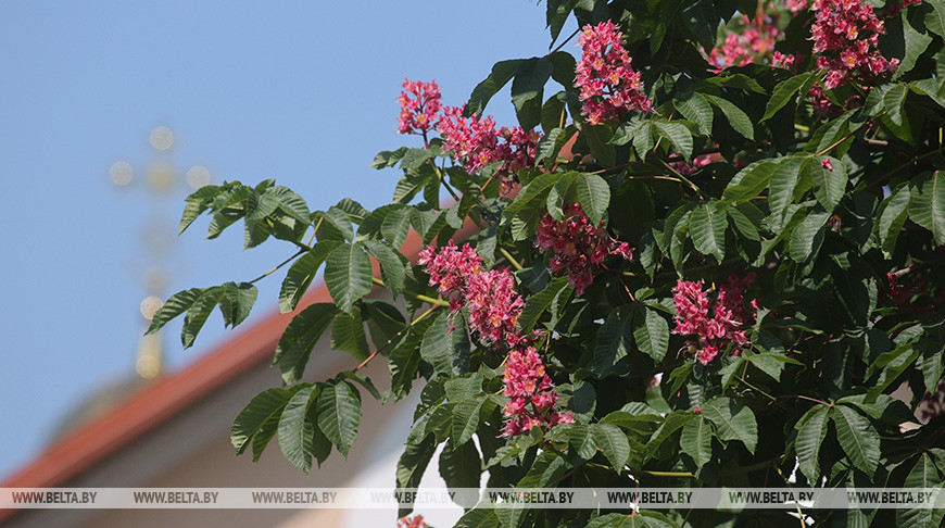 Фото из архива Фото из архива