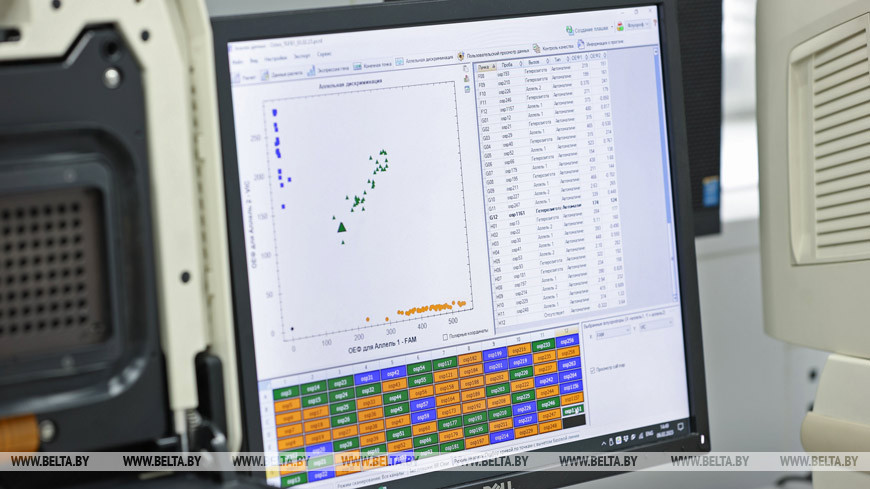 Анализ результатов генотипирования проводят с помощью специализированного программного обеспечения Анализ результатов генотипирования проводят с помощью специализированного программного обеспечения
