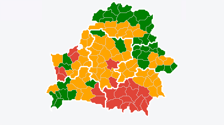 Фото mlh.by Фото mlh.by