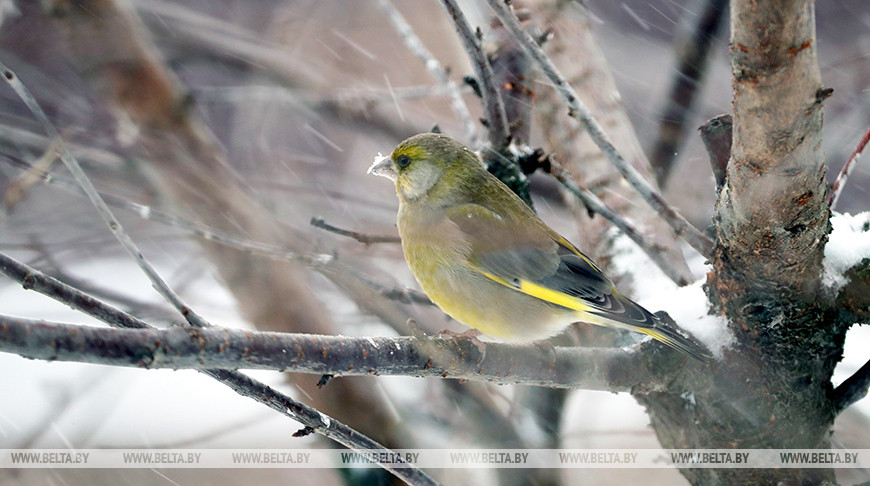 Фото из архива Фото из архива