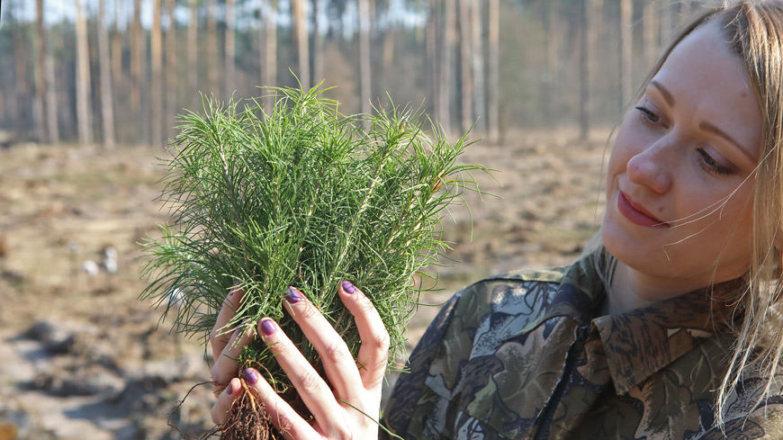 Инженер по лесовосстановлению Оксана Семечко Инженер по лесовосстановлению Оксана Семечко