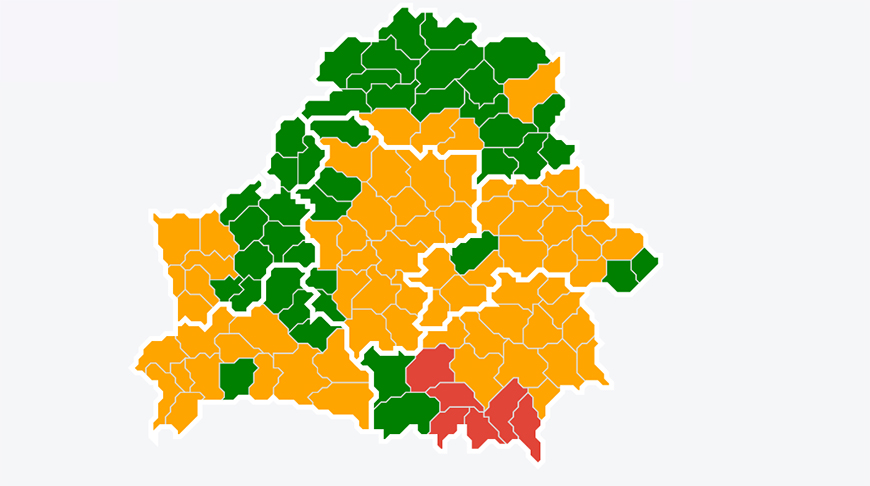 Фото mlh.by Фото mlh.by
