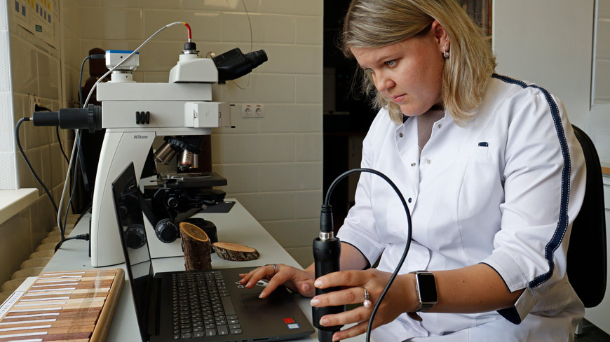 Эксперт Анна Хох анализирует не только древесину, но и пыльцу растений, которая помогает рассекретить происхождение лесоматериалов, фруктов и овощей.