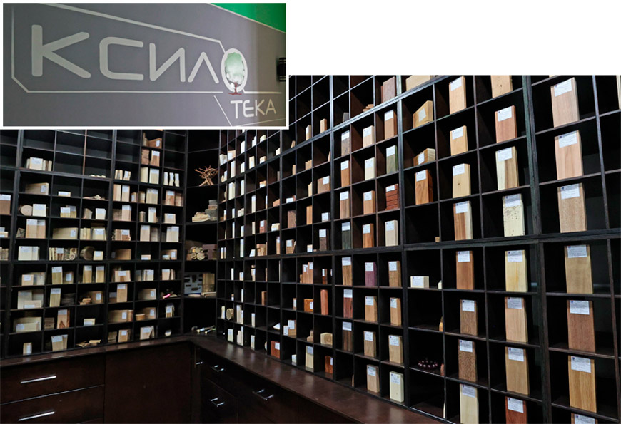 Эталоны в ксилотеке расставлены в порядке, понятном только специалисту