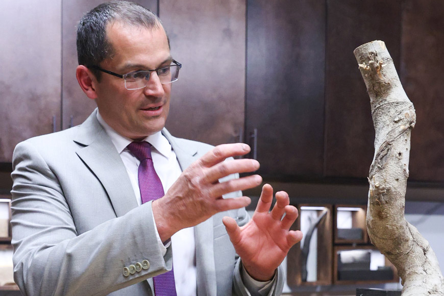 Вячеслав Звягинцев: "У каждого образца своя неповторимая история"