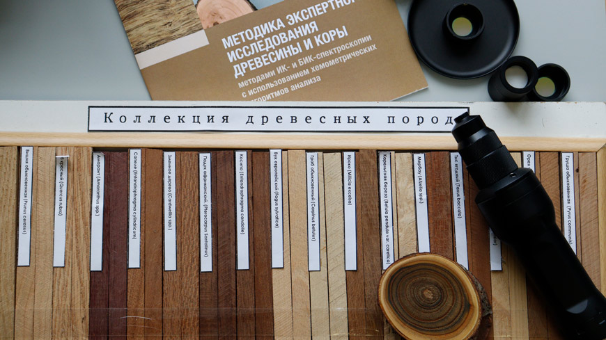 Эталоны из ксилотеки БГТУ - надежное подспорье для экспертов.