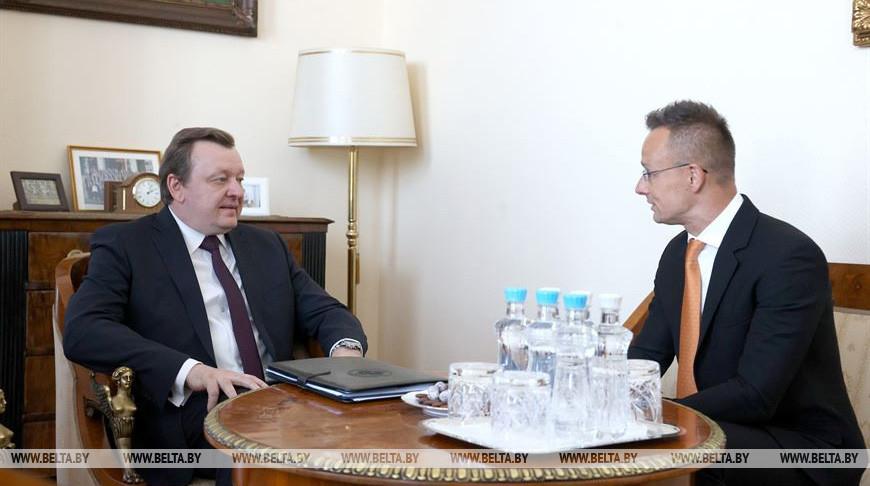 Сергей Алейник и Петер Сийярто